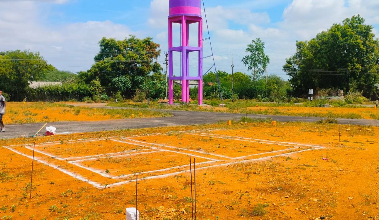 508730086_645260911896005_1573744077989417779_n